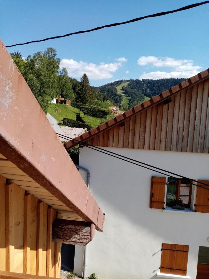 Au Grenier Du Lac Gérardmer Kültér fotó