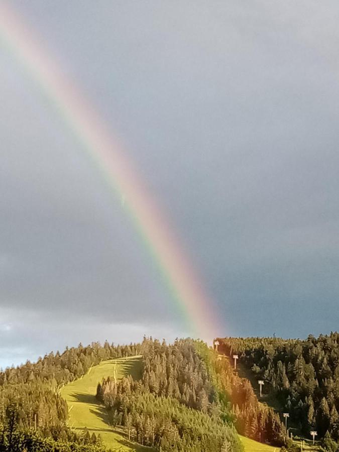 Au Grenier Du Lac Gérardmer Kültér fotó