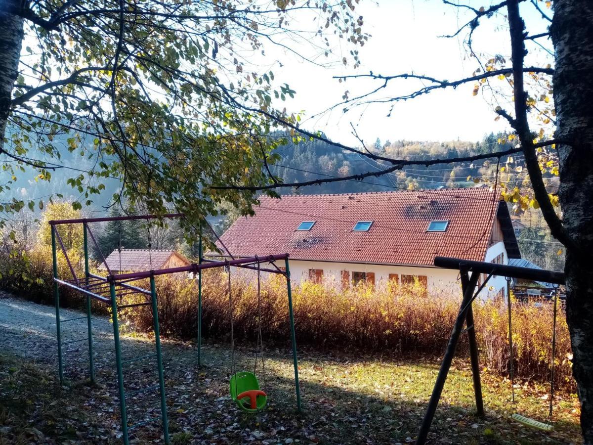 Au Grenier Du Lac Gérardmer Kültér fotó