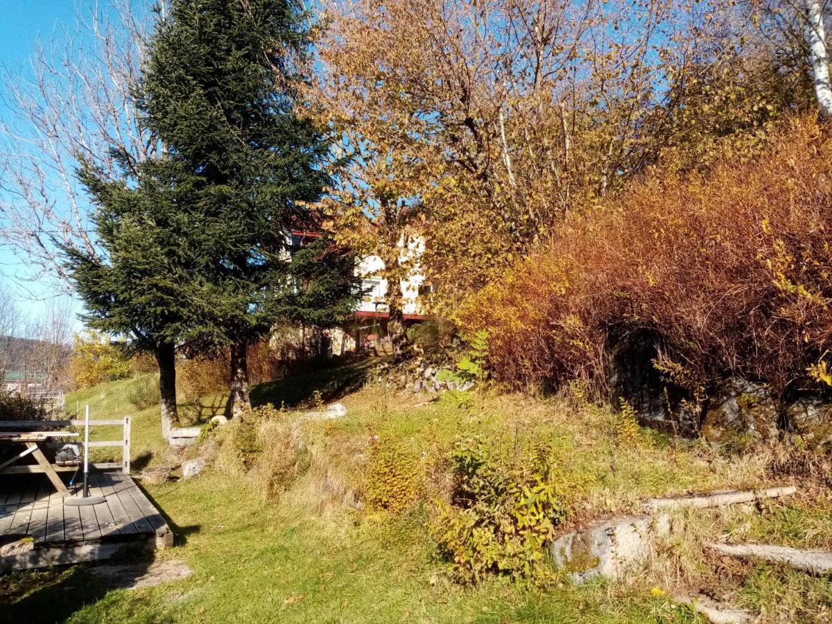 Au Grenier Du Lac Gérardmer Kültér fotó