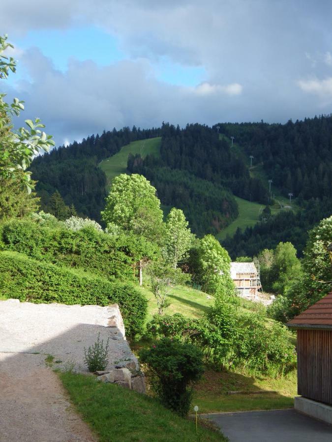 Au Grenier Du Lac Gérardmer Kültér fotó