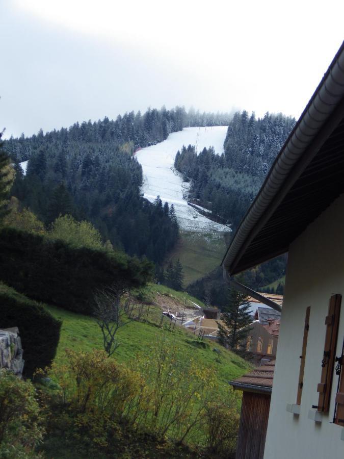Au Grenier Du Lac Gérardmer Kültér fotó