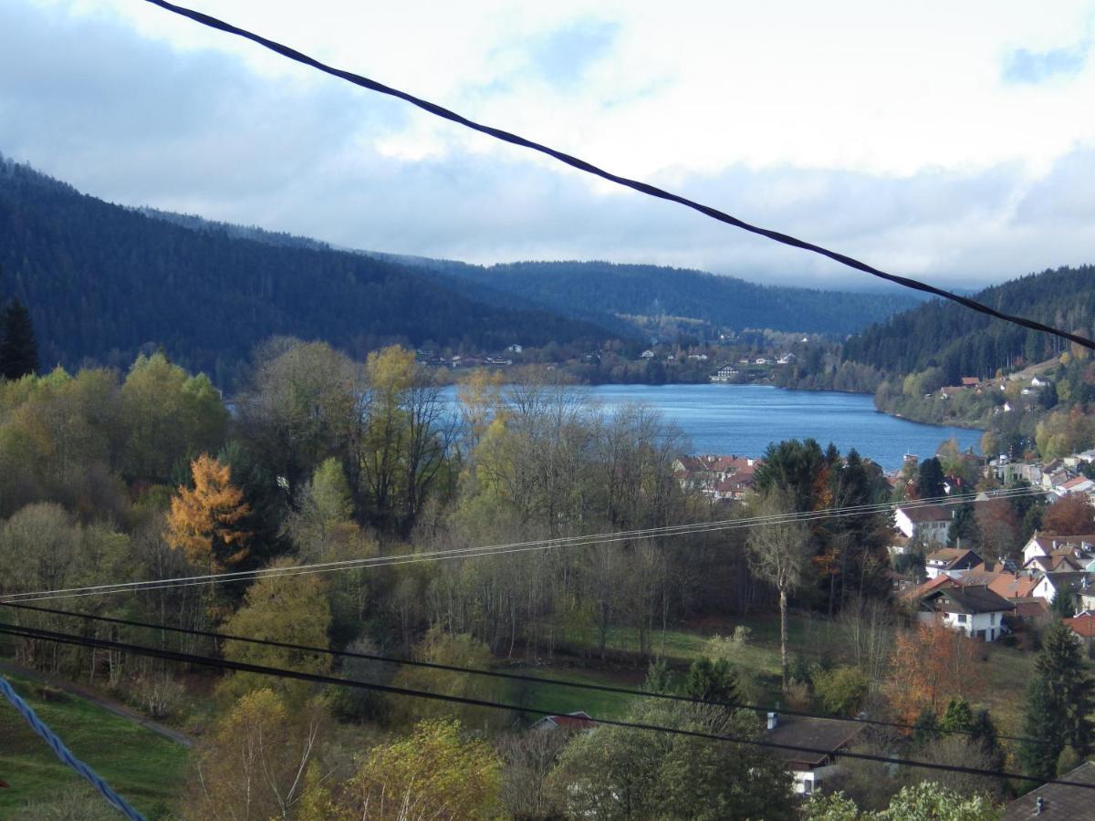 Au Grenier Du Lac Gérardmer Kültér fotó